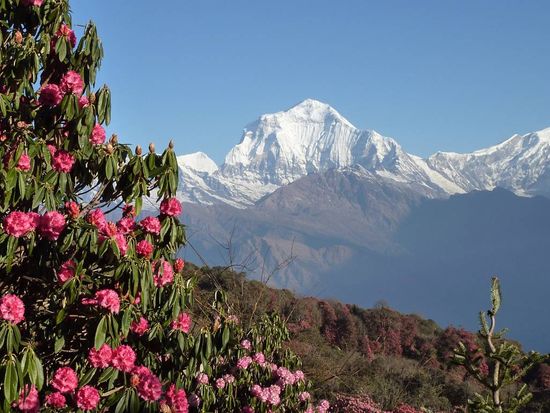 Mt. Dhaulagiri (8,167 metres)