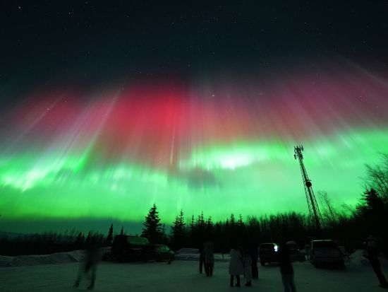 フェアバンクス オーロラ鑑賞ツアー　暖かいロッジでゆったり出現待ち！頭上に広がる光のカーテンに感動＜8～4月／日本語ガイド／フェアバンクス発＞