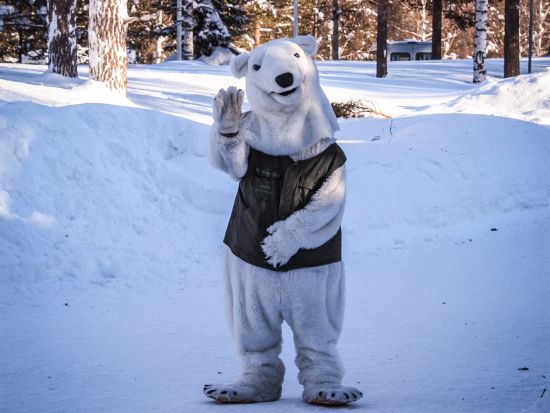 ラヌア動物園（Ranua Wildlife Park）観光ツアー　ランチビュッフェ付きプランあり＜英語／送迎あり／ロヴァニエミ発＞