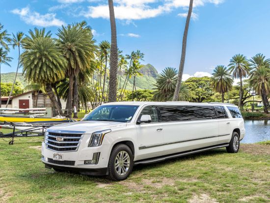 【貸切｜片道】空港送迎で快適＆スムーズ！ホノルル空港→ワイキキ・カハラへ直行移動【チップ＆税金込みで追加料金なし】1名から24名まで