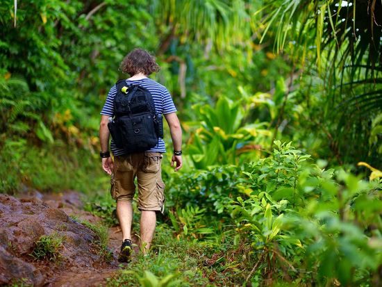 shutterstock_585893756