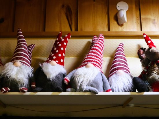 サンタクロース村観光ツアー　本場のサンタさんに会う特別な体験！＜英語／送迎あり／ロヴァニエミ発＞