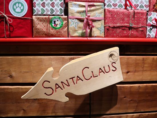 サンタクロース村観光ツアー　本場のサンタさんに会う特別な体験！＜英語／送迎あり／ロヴァニエミ発＞