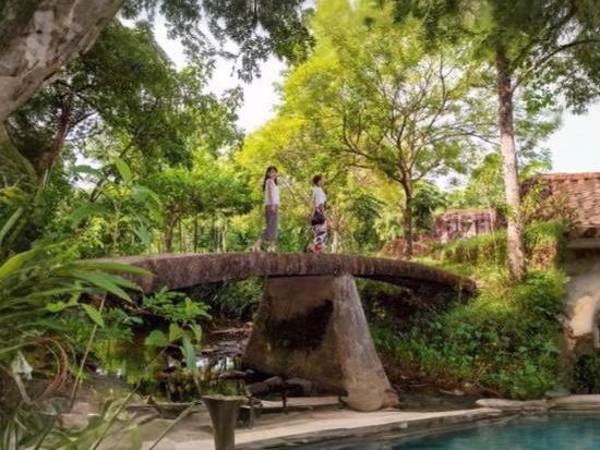 チャンパ王国の聖地を訪れる感動体験！ かつて栄華を極めたチャム族の宗教遺跡・ミーソン遺跡を、 日本語ガイドと一緒に巡る半日ツアー