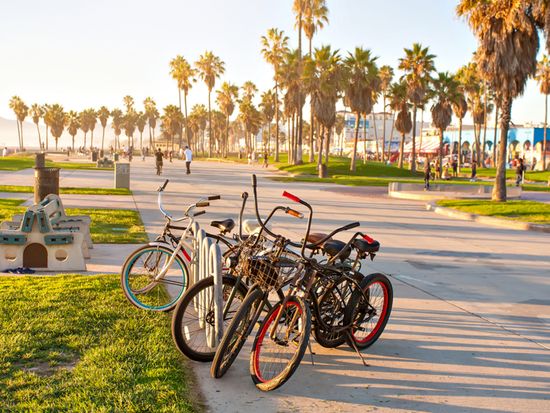 USA_Los Angeles_Venice Beach_shutterstock_403239199