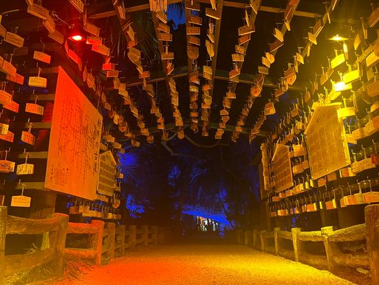 1本島体験(3でも活用ください)