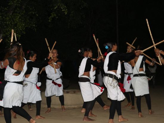 tharu-cultural-show-chitwan