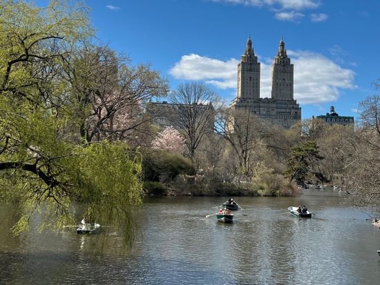 NYC公認観光ガイドと行く！ニューヨーク半日街歩きツアー　人気スポット＋基礎情報を丁寧にご案内＜貸切／日本語ガイド／マンハッタン発着＞