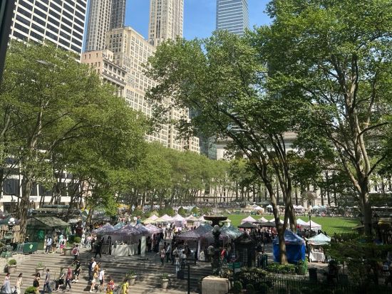 NYC公認観光ガイドと行く！ニューヨーク1日街歩きツアー　選べる4つのコース＜貸切／日本語ガイド／マンハッタン発着＞