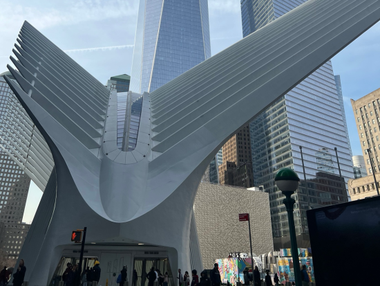 NYC公認観光ガイドと行く！ニューヨーク1日街歩きツアー　選べる4つのコース＜貸切／日本語ガイド／マンハッタン発着＞