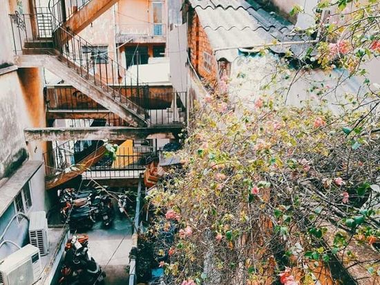 chung_cu_ton_that_dam_thumb_1629955106