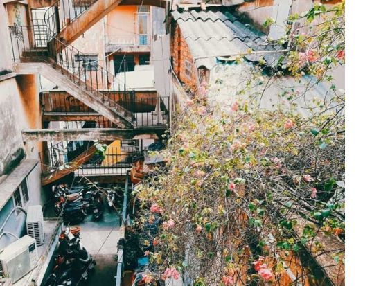 ホーチミン市内　話題のカフェアパートメント巡りツアー＜コーヒー付き／日本語・英語ガイド＞