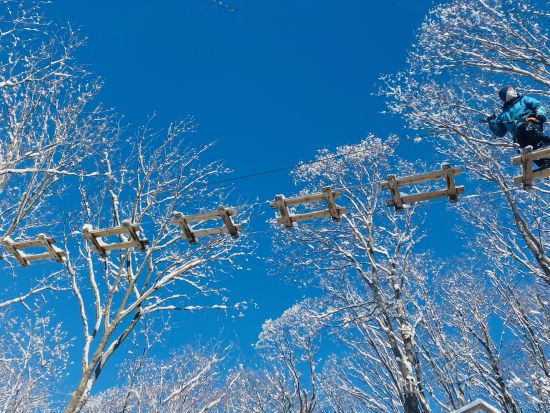【冬季限定プラン！！】グループ、ファミリー、カップルで！雪景色のなか全長１５０m～２００mのジップラインを滑空出来るジップトリップツアー！