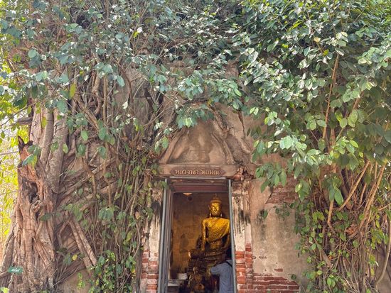 20250315105013_AfY1sDemm8q8Z0G