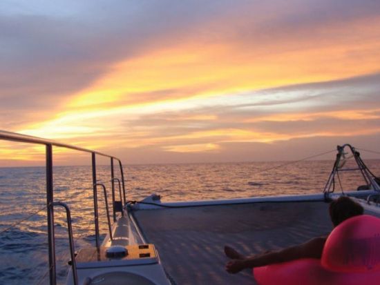 パタヤ発離島巡り　パイ島、リン島、ペド島の3島を巡るアイランドホッピングツアー！＜昼食ビュッフェ付／送迎あり＞