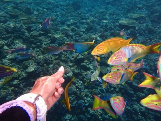 【冬季限定】水納島 半日ボートシュノーケリング＆プチ上陸ツアー♪少人数制&写真無料付き♪＜約1時間30分／本部町＞by マリンショップ・マーメイド