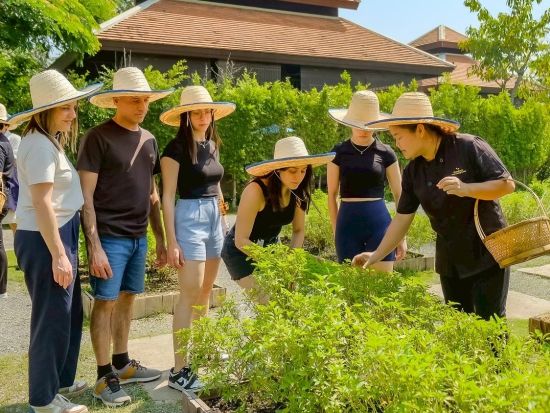 タイ料理教室「グランマズ・ホームクッキング」チェンマイ郊外の田園地帯で本格クッキング体験　市内ホテル往復送迎付き＜半日／英語＞