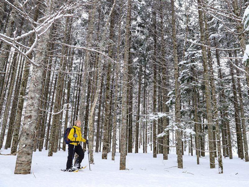 5_スノーシューを履いて森の中を散策