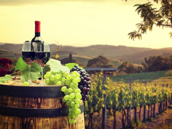 Generic_Red_wine_Vineyards_shutterstock_369891320