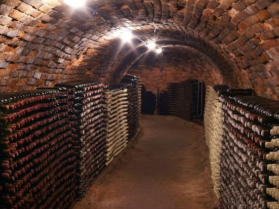 Australia_Adelaide_Clare_Valley_wine cellar_shutte