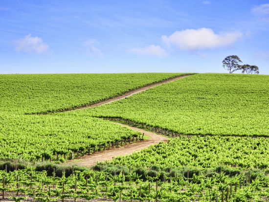 Australia_Adelaide_Clare_Vallery_shutterstock_4198