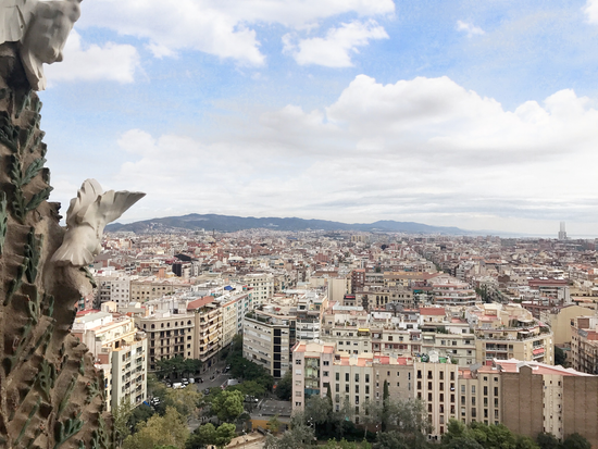 20240426073401_436424278_2161_0