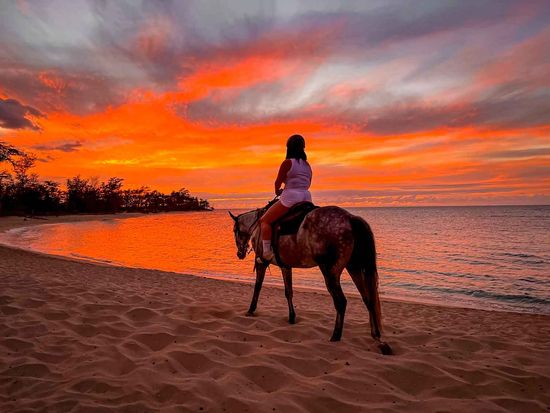hawaii_polo_sunset02