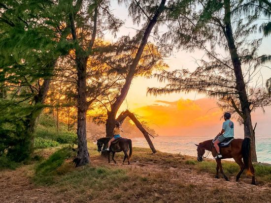 hawaii_polo_sunset04