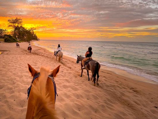 hawaii_polo_sunset01