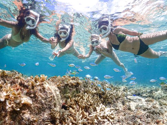 美ら海シュノーケリング 熱帯魚やサンゴ礁を観察＆超高確率でウミガメに遭遇！＜1～2時間／宮古島＞