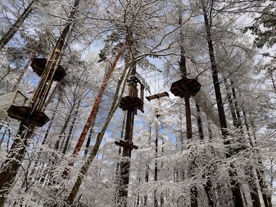 気温が低い日は樹氷も