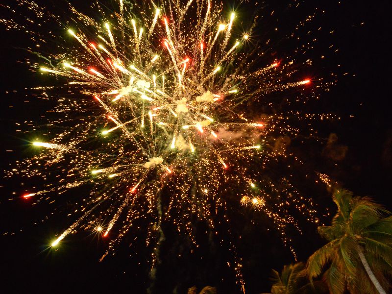 Generic_Fireworks_Palm Tree_Holiday_New Year_shutterstock_1477246445