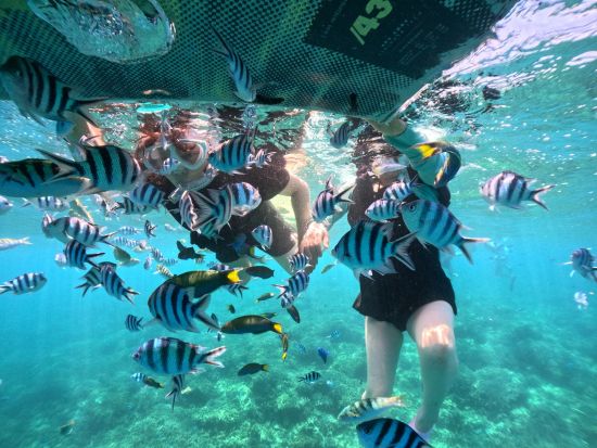 【北部発・本部町開催】バナナボートで行く！ウミガメが棲む瀬底島周辺シュノーケリング♪リアル水族館の水中世界へご案内します！スリル満点アクティビティ付き