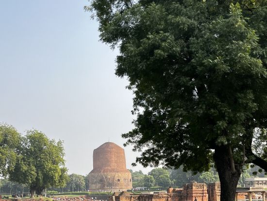 【貸切チャーター】バラナシ発サールナート観光ツアー！日本語サポート可＜専用車／英語ドライバー／高速代＆駐車場代込／バラナシ空港または市内中心部送迎＞