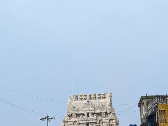 【貸切チャーター】チェンナイ発カーンチープラム＆マハーバリプラム観光ツアー＜専用車／英語ドライバー／高速代・駐車場代込／チェンナイ市内中心部送迎＞