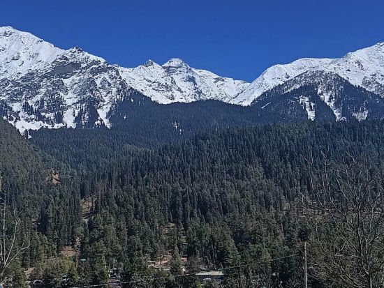 【貸切チャーター】スリナガル＆パハルガム 3泊4日！日本語アシスタント選択可＜専用車／英語ドライバー／高速代＆駐車場代込／ホテル送迎＞ *車1台あたり料金