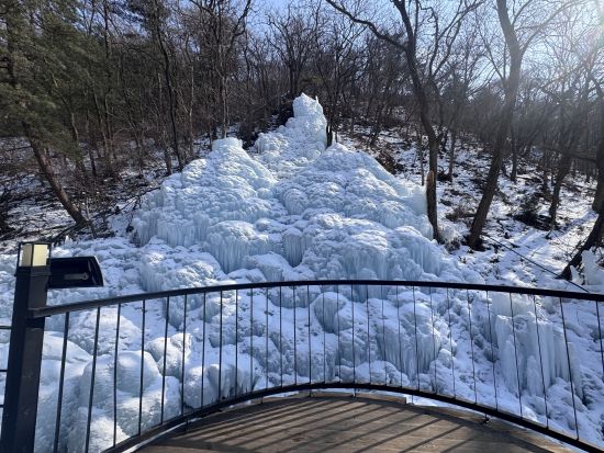 ソウル郊外自然満喫ツアー　ポチョンアートバレー＋果物ファーム＋モーニングカルム庭園など季節のおすすめ訪問地＜1名参加OK／選べる出発地／英語ガイド＞