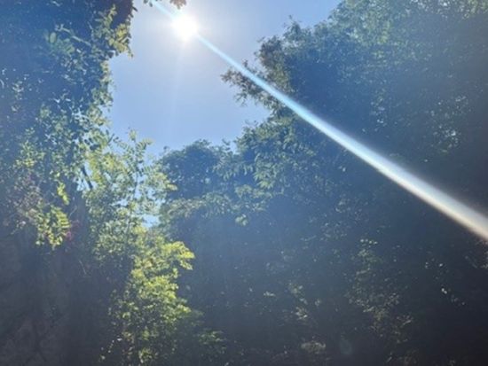 【春・秋限定】ソウル漢陽都城道トレッキング　森に詳しいガイドと北岳八角亭＋彰義門＋敬義門を散策＜日本語ガイド／昼食付き＞