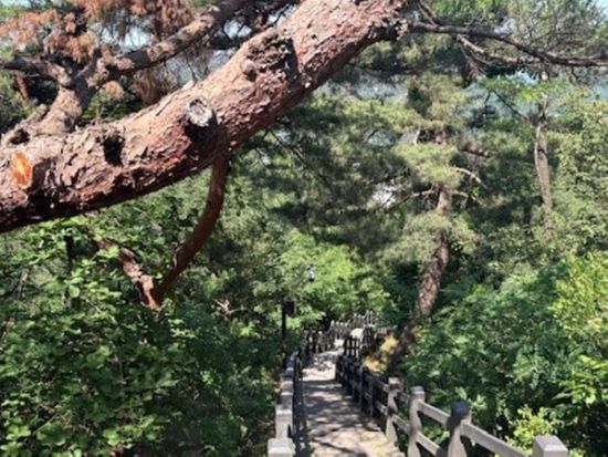 【春・秋限定】ソウル漢陽都城道トレッキング　森に詳しいガイドと北岳八角亭＋彰義門＋敬義門を散策＜日本語ガイド／昼食付き＞