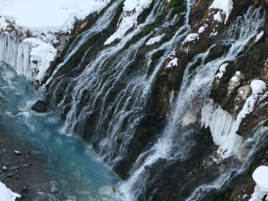 札幌発 日帰りバスツアー 旭山動物園と美瑛白ひげの滝、木のぬくもり感じるニングルテラスへ＜1名から催行／札幌市内発着＞
