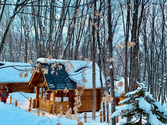 札幌発 日帰りバスツアー 旭山動物園+美瑛ふれあい牧場+ニングルテラスor拓真館＜1名から催行／1月10日～3月31日／札幌市内発着＞