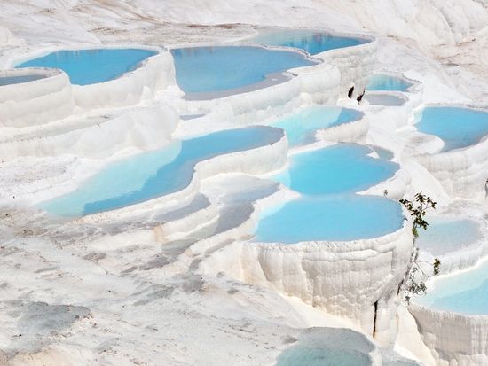 shutterstock_307315550