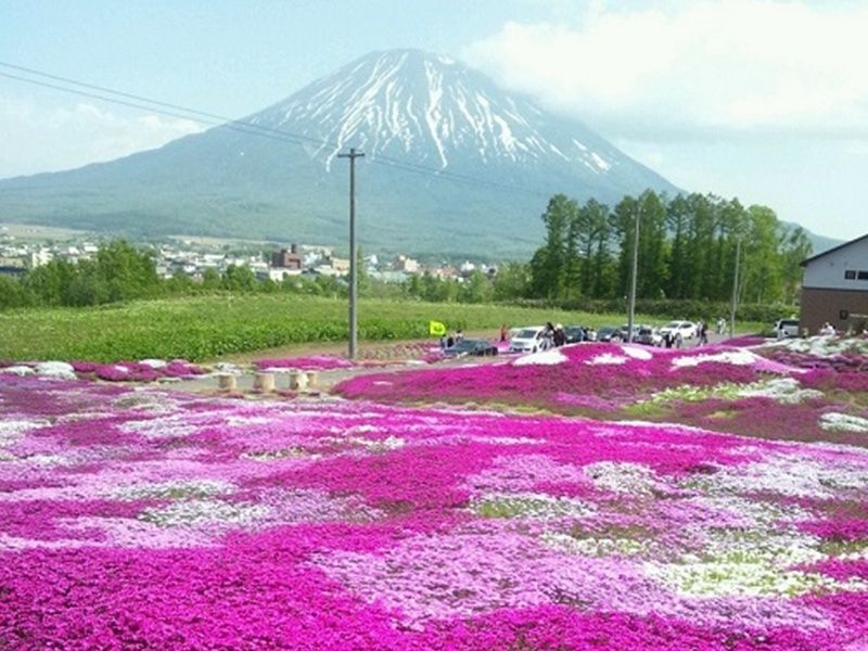 ダウンロード (44)