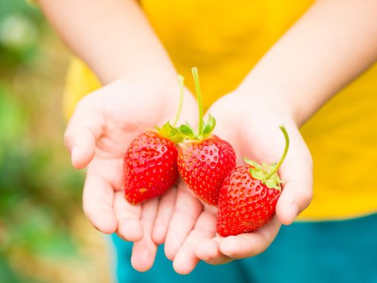 金沢発着日帰りバスツアー シャトレーゼホテル長野ランチブッフェ＋信州いちご狩り　約50種の絶品グルメと果物狩り食べ放題が満喫＜3月～4月＞