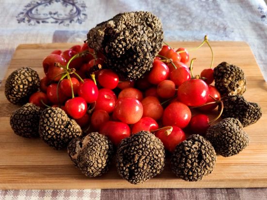 ピエモンテ ワイナリーツアー　トリュフ・アペリティフ付き ＜ワイン試飲付き／英語ガイド＞