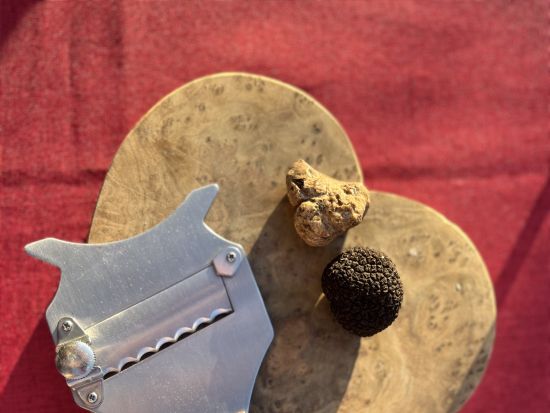 ピエモンテ ワイナリーツアー　トリュフ・アペリティフ付き ＜ワイン試飲付き／英語ガイド＞