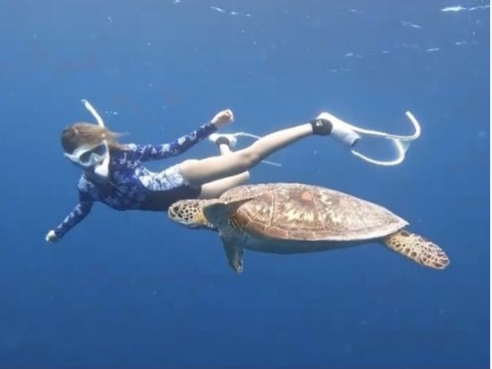 ウミガメシュノーケル 少人数制＆初心者歓迎！安心サポート付き PADI公認ガイド同行の海遊びツアー＜約3時間／石垣島＞