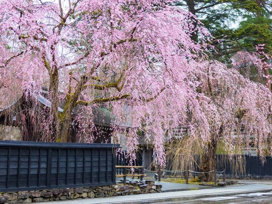 pixta_76576086_M (1)