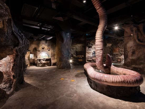 「エントピア by ペナンバタフライファーム」入場チケット　屋内外の展示で昆虫と植物の世界を楽しむ自然体験！