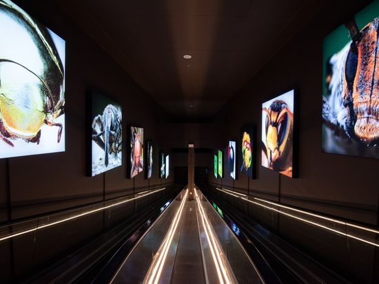 Entopia-Indoor-1-min